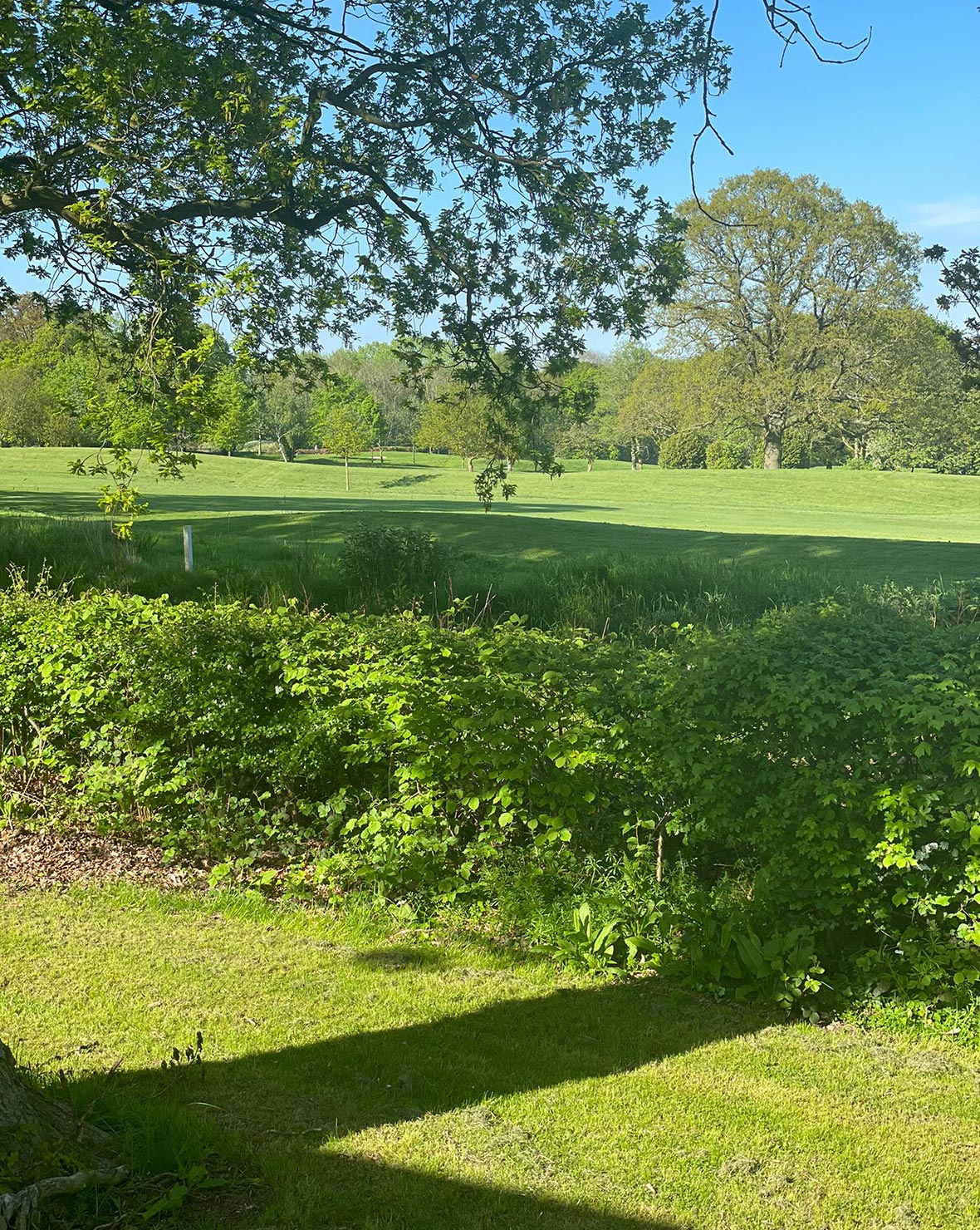 The Fairways Kenwick Log Cabin view over golf course